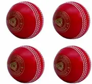 CW Spin Incredible PVC Poly Soft Practice Cricket Ball for All Age Player 4 PCS