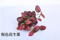 在飛比找Yahoo!奇摩拍賣優惠-粉色花生葉 花草牆 仿真植物牆 背景牆 綠化景觀花草園 假草