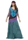 Fabulous Fortune Teller Gypsy Womens Plus Size Costume