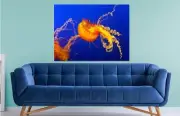 COLORFUL BLUE OCEAN ORANGE FISH SCENERY WALL ARTS high quality Canvas home decor