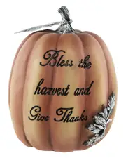 Northlight 10in Orange Inbless The Harvestin Pumpkin Fall Tabletop Decoration