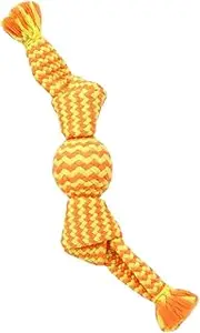 Flossy Chew Dog Toy, Small