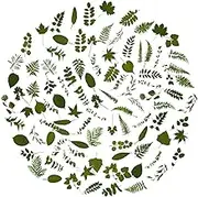 OBUJOPAL 100Pcs Small Green Leaf Stickers, Nature Plant Stickers Transparent for Scrapbooking Water Bottle Laptop Junk Journal Collage Card Making Phone Case Envelope Planner DIY Crafts, 50 Designs