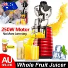 Whole Fruit Juice Chute Cold Press Slow Juicer Vegetable Processor Sorbet Maker