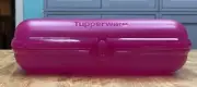 Tupperware Packables Oyster Containers-Color Choices-NEW-SHIPPING INCLUDED
