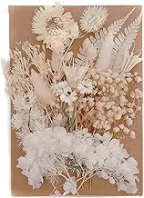 Dried Flowers for Resin | Colorful Dried Flowers for Candle Making | Pressed Flowers Leaves Petals for Epoxy Resin Crafts, Decorations, Matching 10