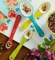 Pioneer Woman ~ Set of Four (4) Stoneware Measuring Spoons ~ "Wildflower Whimsy"