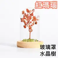 在飛比找蝦皮商城精選優惠-【現貨】招財樹 水晶樹 玻璃罩水晶樹 開運樹 發財樹 白水晶