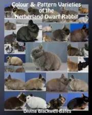 Colour & Pattern Varieties of the Netherland Dwarf Rabbit by Blackwell-Bates