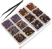 SEWACC 1 Set Flat Back Rhinestones with Tweezer Picking Pens Compartment Organized Storage Box Durable Rhinestones for DIY Crafts Clothing Home Decor Nail Art
