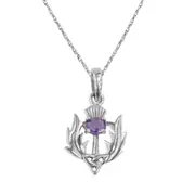 Hamilton and Young Scottish Thistle Flower Of Scotland And Trinity Knot Necklace Pendant - An Amethyst Colour Stone - Includes A 16"Silver Chain