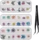 3 Boxes Nail Art Mixed Dried Flower Kit,3D Natural Dried Five Petal Flower Da...