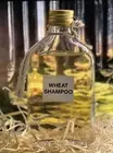 100% Natural Wheat Shampoo & Gel Wash Based on Soap Root NO GMO & CHEMICAL