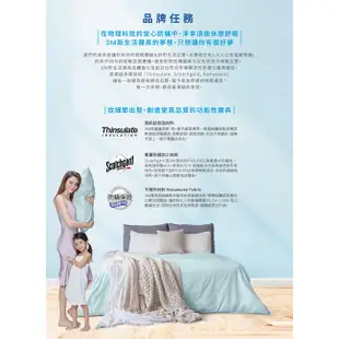 3M 新一代防蟎水洗枕 一入 防蟎枕