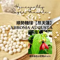 在飛比找蝦皮購物優惠-順勢糖球【昂天蓮●Abroma Augusta Q】Home