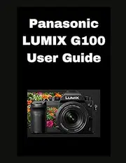 Panasonic LUMIX G100 Camera Guide