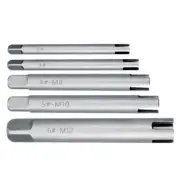 Professional Tool Set for Broken Screw Extraction 5Pcs M5M12 Tap Extractor