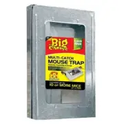 The Big Cheese Multi-Catch Mouse Trap , Traps 10 or more mice in one setting .