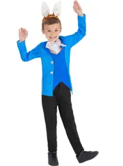 Mr Rabbit Toddler Boys Book Week Costume