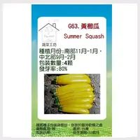 在飛比找PChome24h購物優惠-【蔬菜工坊】G63.黃櫛瓜(阿珍.夏南瓜.節瓜.嫩南瓜.美國