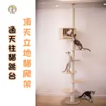 LOK LOK PETS🐾實木通天柱貓跳台 貓爬架 頂天立地貓跳台 貓抓柱 貓樹 貓樹屋 貓太空艙 貓跳板 劍麻繩