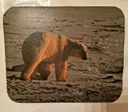 BROWN Bear Mouse Pad Mat Computer Desk Accessory Office Decor