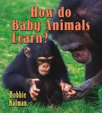 在飛比找博客來優惠-How Do Baby Animals Learn?