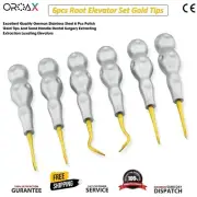 Professional Dental Luxation Root Elevators – High-Quality Extraction Tools