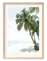 [Profile Australia] Australian Made Palm Island Dreams Art Print A1 Frame in Natural
