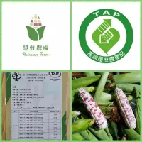 在飛比找蝦皮購物優惠-彩虹甜糯玉米1斤40元（甜度16-17度）產銷履歷 慧軒農場