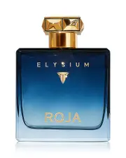 Roja Elysium Pour Homme Eau de Parfum 3.4 oz.