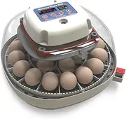Harris Farms Nurture Right Incubator | Egg Incubator for Hatching Chicks | 360 Degree View