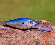 Storm Brad's & Yo-Zuri Lures Bream Bass Trout Redfin Perch Flathead Cod Barra
