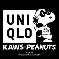 在飛比找蝦皮購物優惠-收藏 KAWS X UNIQLO X SNOOPY PEAN