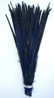 5 Pcs DYED ROYAL BLUE English Ringneck PHEASANT Feathers 20-26"