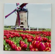 Holland Dutch Windmill Netherlands Ceramic Tile Trivet Coaster Souvenir 4" x 4"
