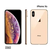 在飛比找露天拍賣優惠-(空機)iPhone XS 256G原廠福利機 台灣Appl