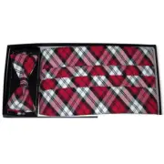 Men's Lumberjack Plaid Bow Tie and Cummerbund Set