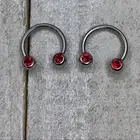 PAIR OF RED FRONT FACING GEM HORSESHOES NIPPLE RINGS EARRINGS CARTILAGE NEW 14G