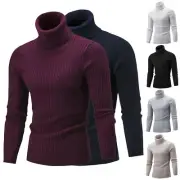 Winter Mens Warm Knitted Sweater Polo Roll Turtle Neck Pullover Jumper Slim Top2