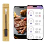 Wireless Bluetooth WiFi Meat Thermometer Digital Smart Instant Read Electric ...