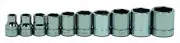 WSB-10HRC 10-Piece 3/8-Inch Drive Shallow 6 Point Socket Set