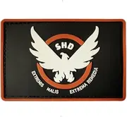 Ysmzzmsy 1 PCS Eagle PVC Rubber Morale Patch with Hook Backing ，Funny Tactical 3D Patch for Backpacks，Army Vests, Hats, and Helmets - Cool PVC Rubber Patch Boosts Moral (Rectangular)