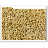 在飛比找蝦皮購物優惠-燕麥粒 OAT GROATS - 300g / 600g 【