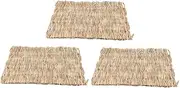 ibasenice 3pcs Grass Mats for Small Animals Breathable Cooling Mat for Hamster Guinea Pig Bunny Sleeping for Pet Cages Nest Liner for Chewing and Exploring