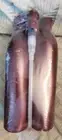 True Hue Hair Color Treatment Shampoo & Conditioner Kit 2x 1L Senscience