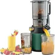 300w cold Press Slow Juicer, Juicer Machines, Cold Press Masticating Juicer, with 13cm Feeding Chute, Portable Pomace Separation Juicer, for Fruits Vegetables,Green