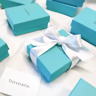 美國百分百【全新真品】Tiffany & Co. 項鍊 相思豆 純銀 925 bean 銀飾 墜飾 專櫃 BC48