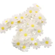Tegg Lace Ribbon 5 Yards 25mm Daisy Sun Flower Trims DIY Ribbon Lace for Appl...