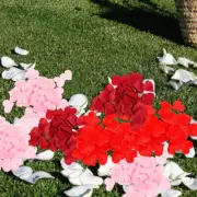 600 Pcs Love Hand Throws Flowers Table Decor Confetti Petals